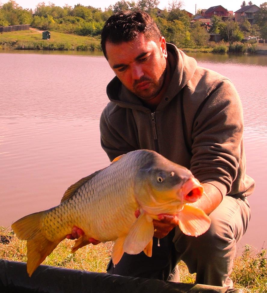 Moara Vlasiei 2 6 - 6 oct.